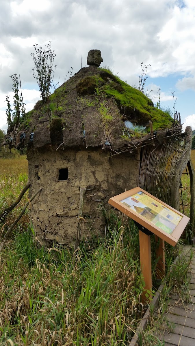Dubwath Silver Meadows Nature Reserve