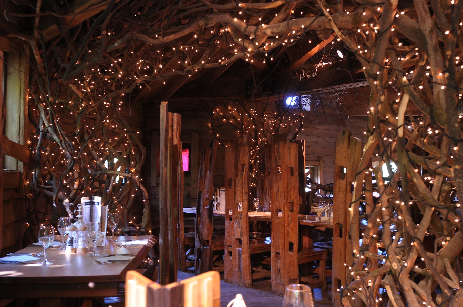 The Treehouse