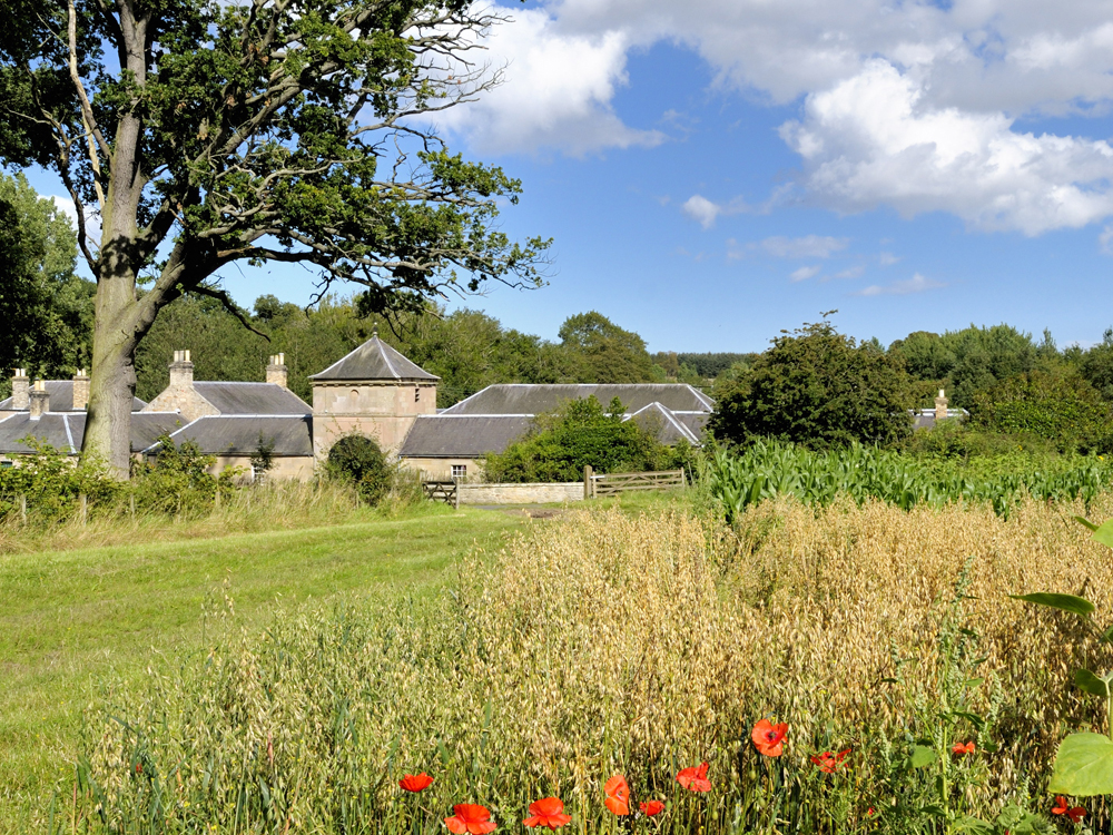 Hirsel Homestead Museum & Craft Centre