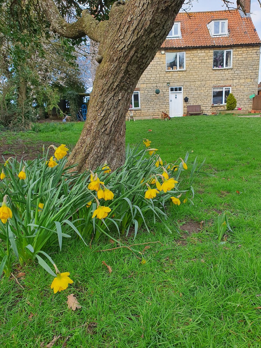 Manor Farm