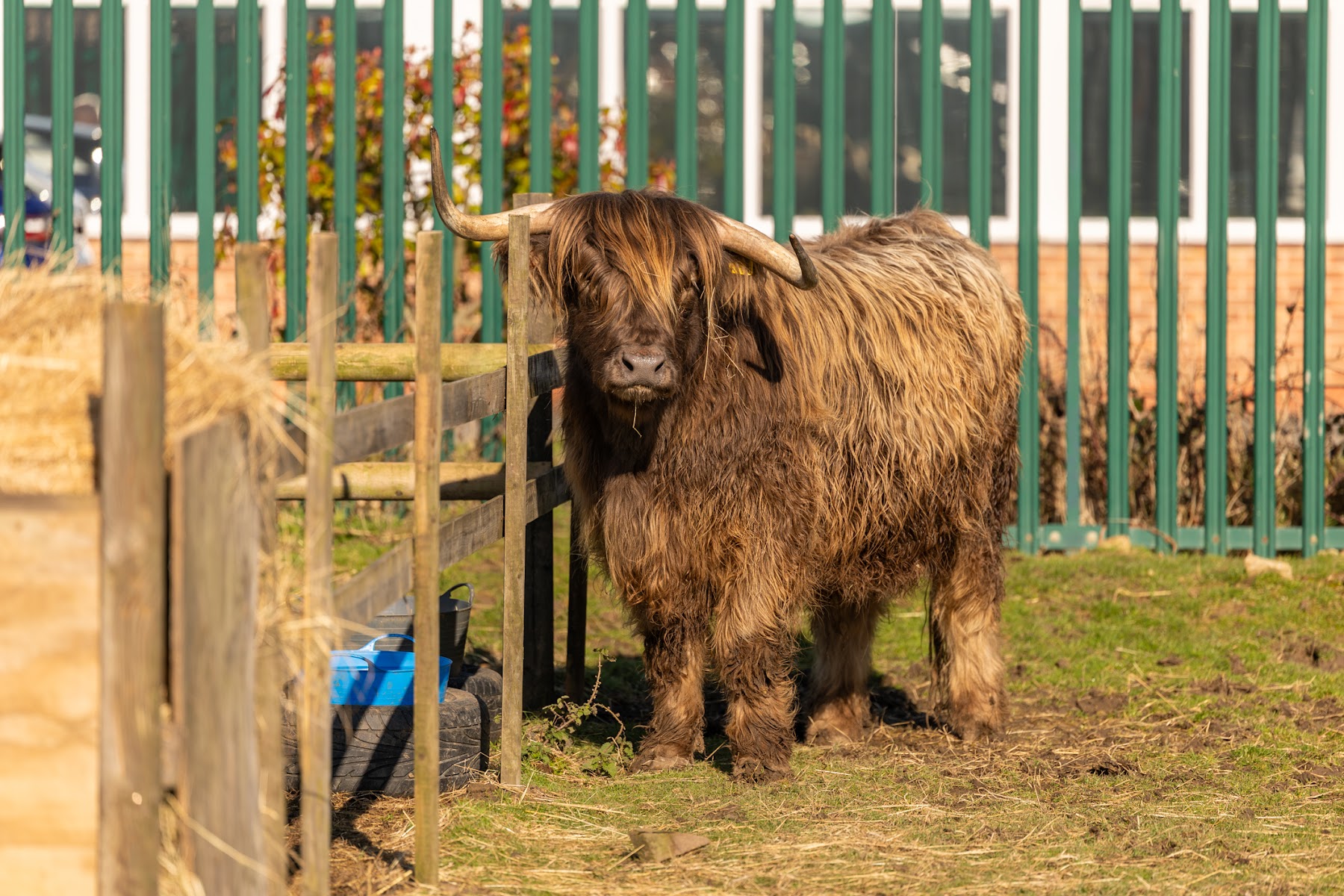 Nunny’s Farm