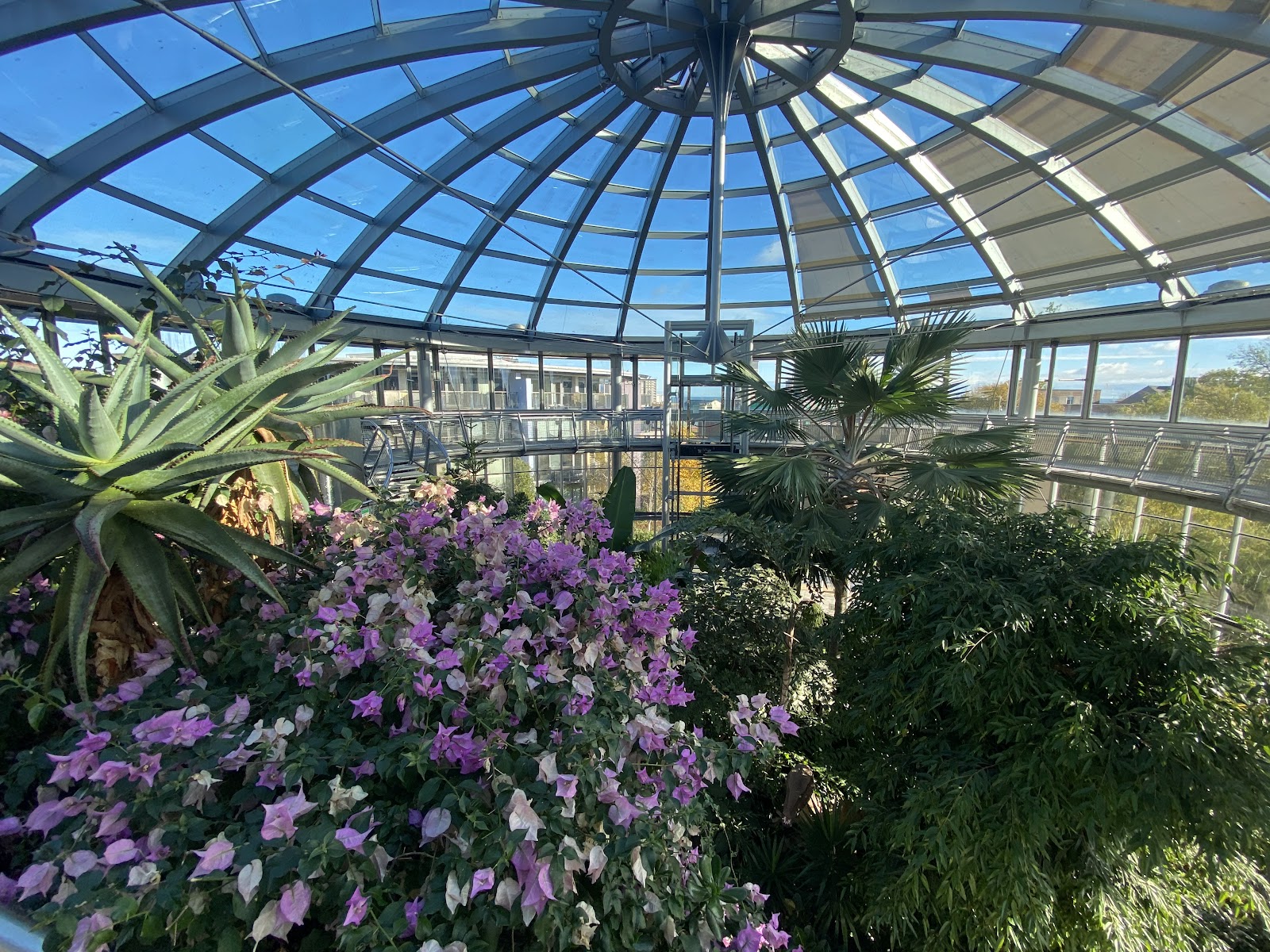 Sunderland Museum and Winter Gardens
