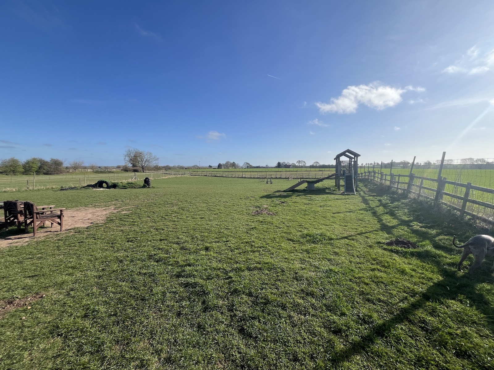 Stone House Farm Freedom Field