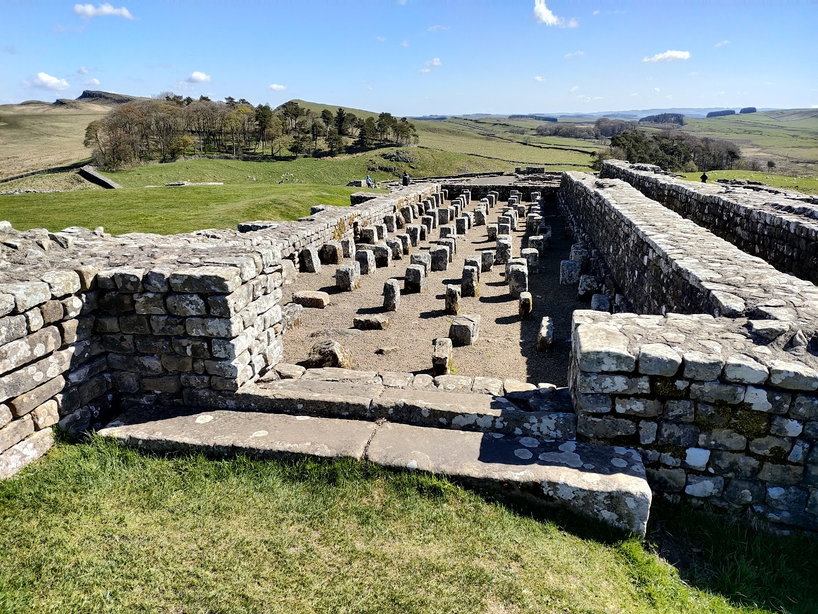 Housesteads Museum