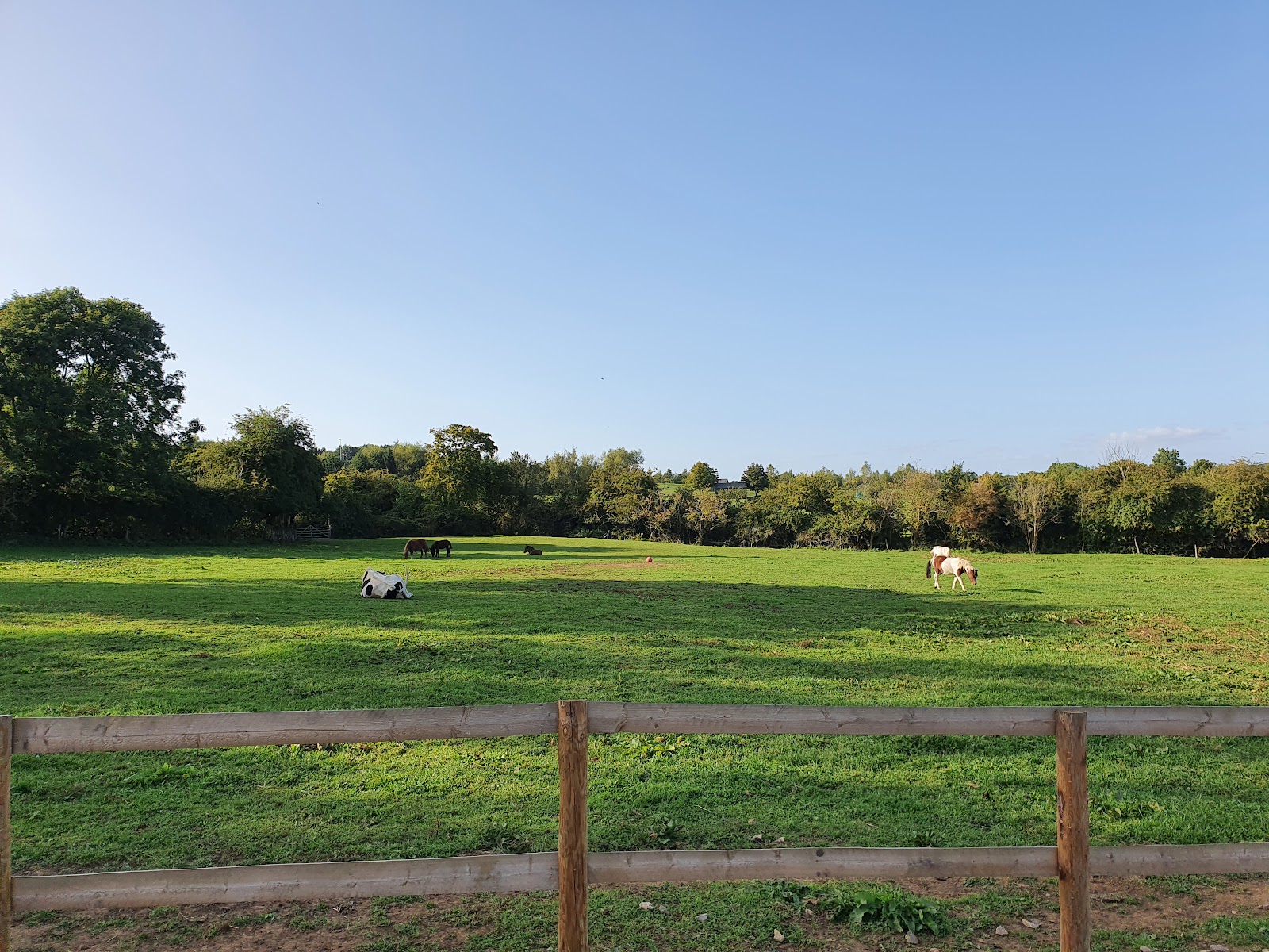 Homegrown Care Farm CIC