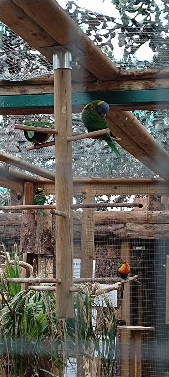 Potter's Tropical Village