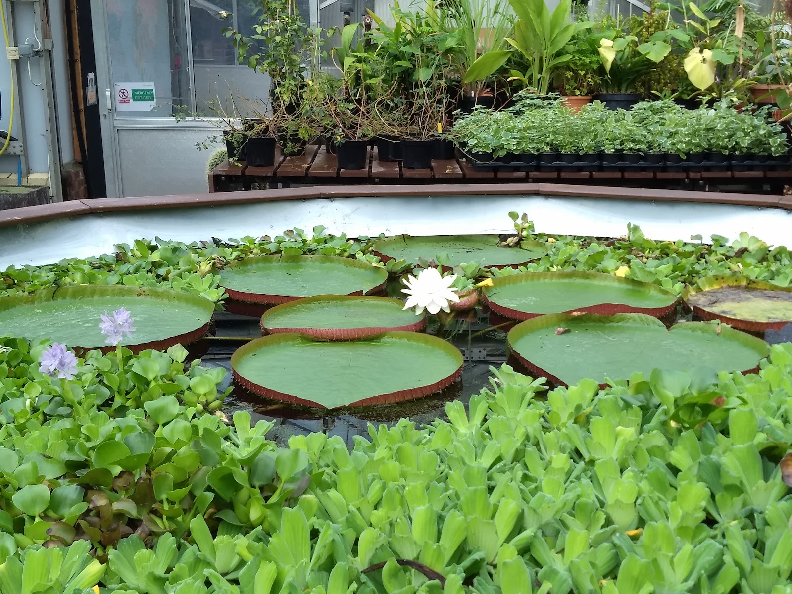 Durham University Botanic Garden