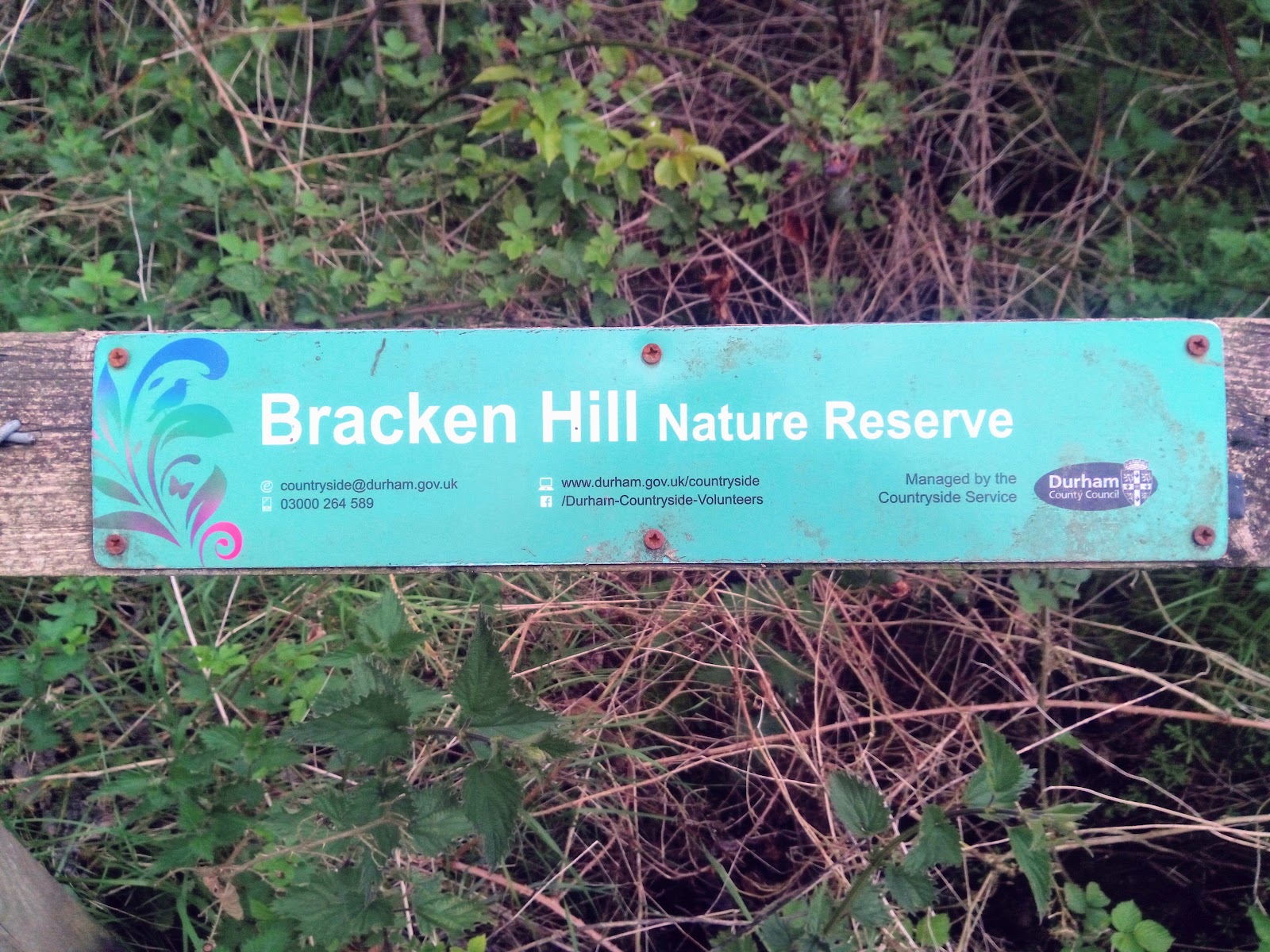Bracken Hill Wood Local Nature Reserve
