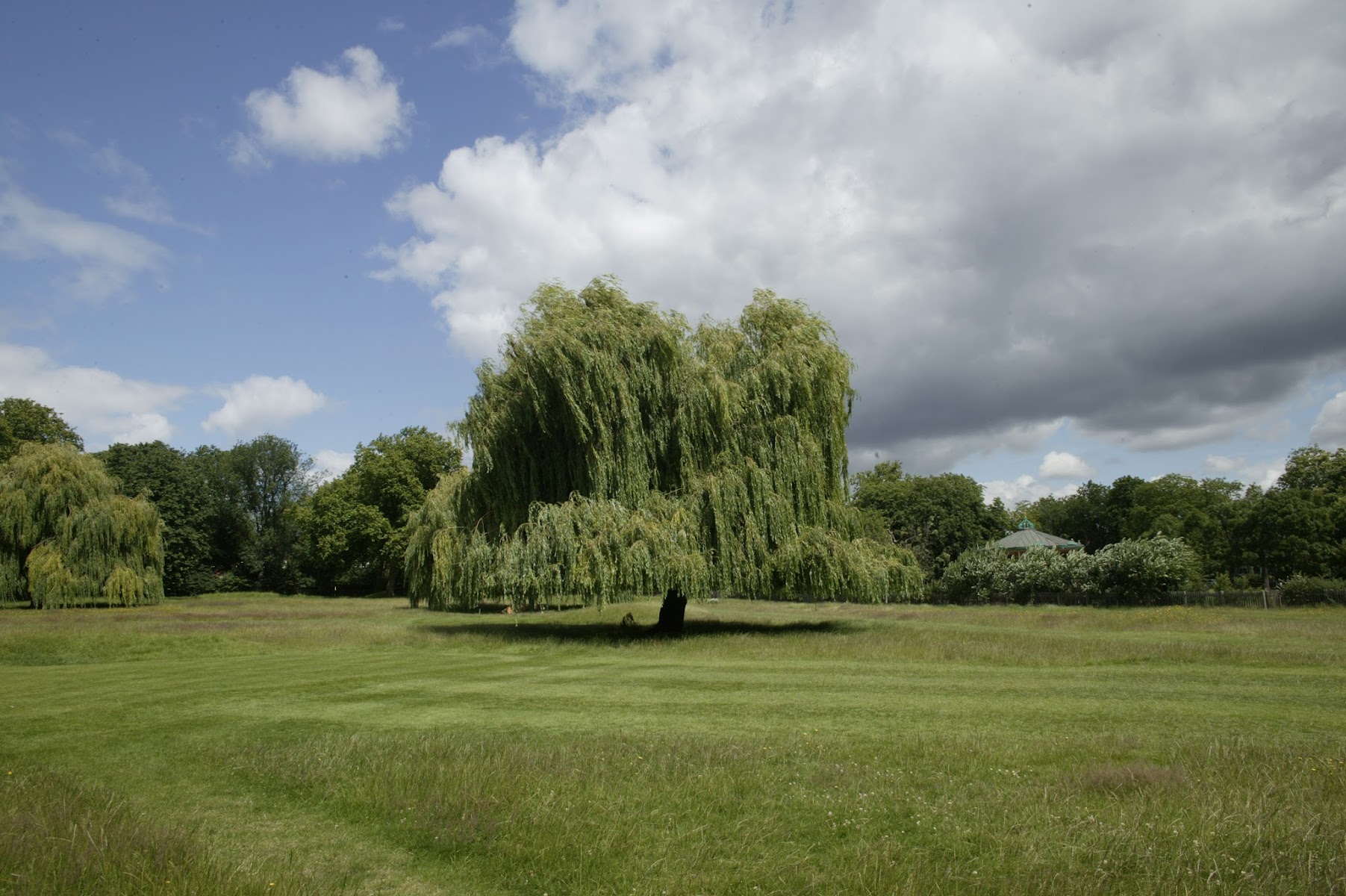 Queen's Park