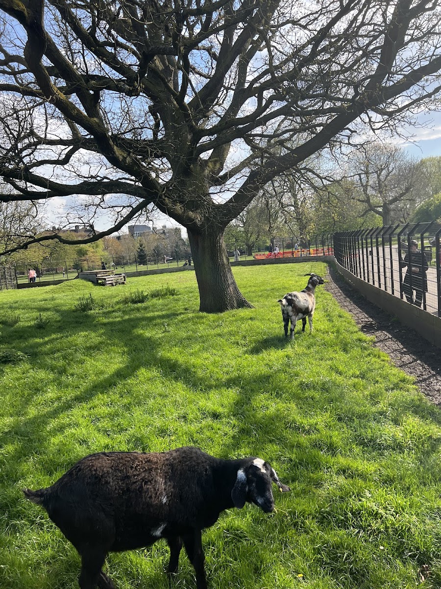 Goats Park