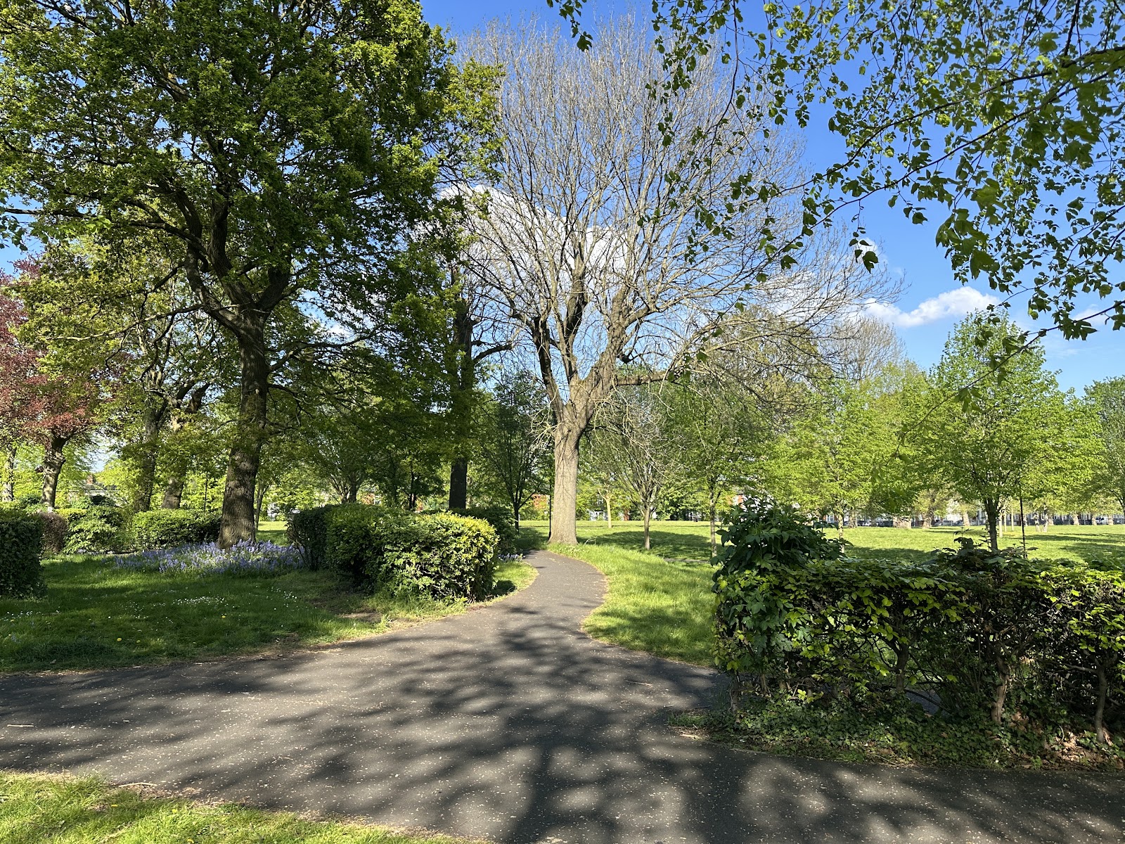 Farm Park