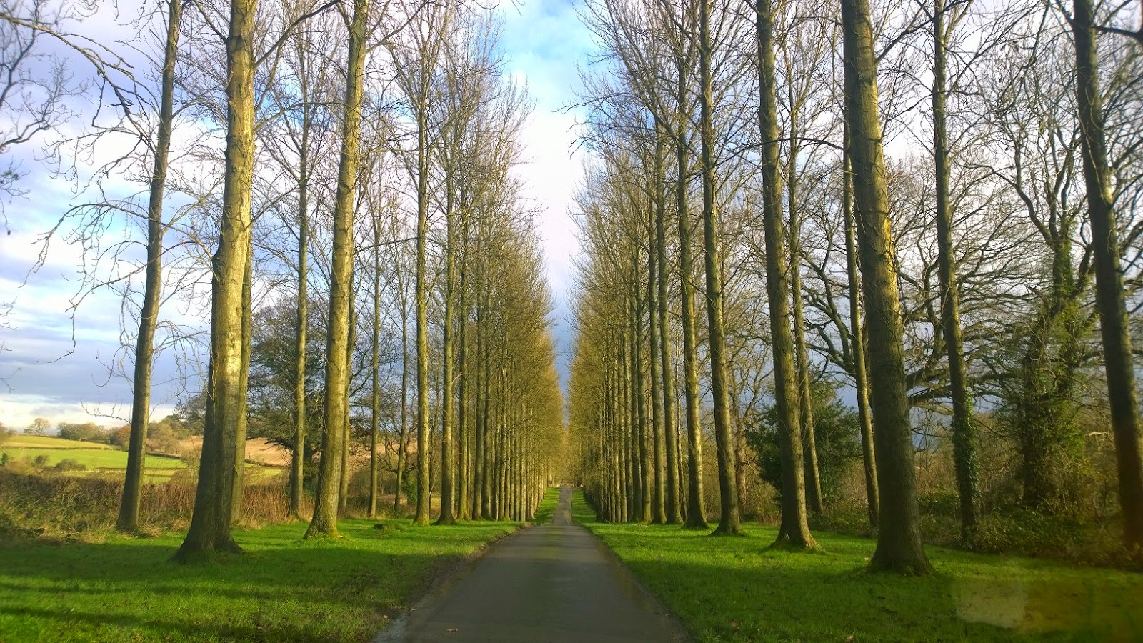 Umberslade Estate