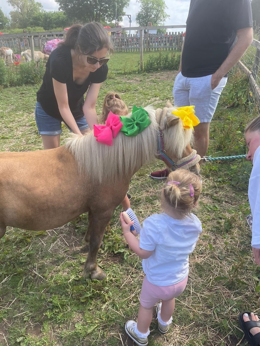 Sedgley Adventure Centre