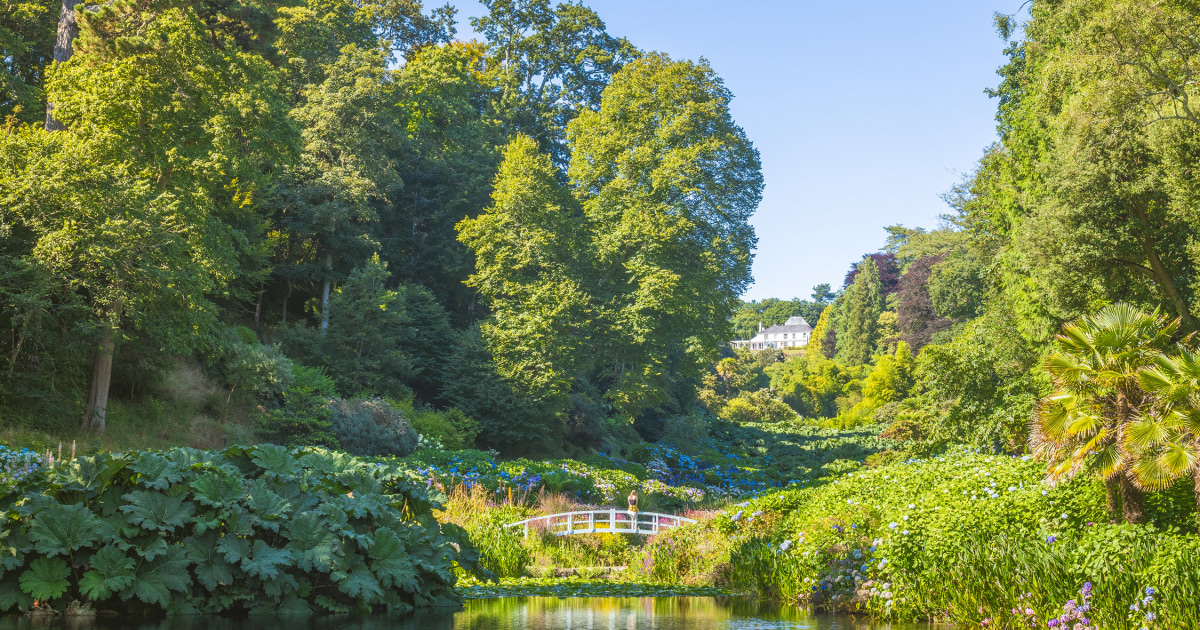 Trebah Garden