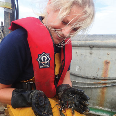 The National Lobster Hatchery