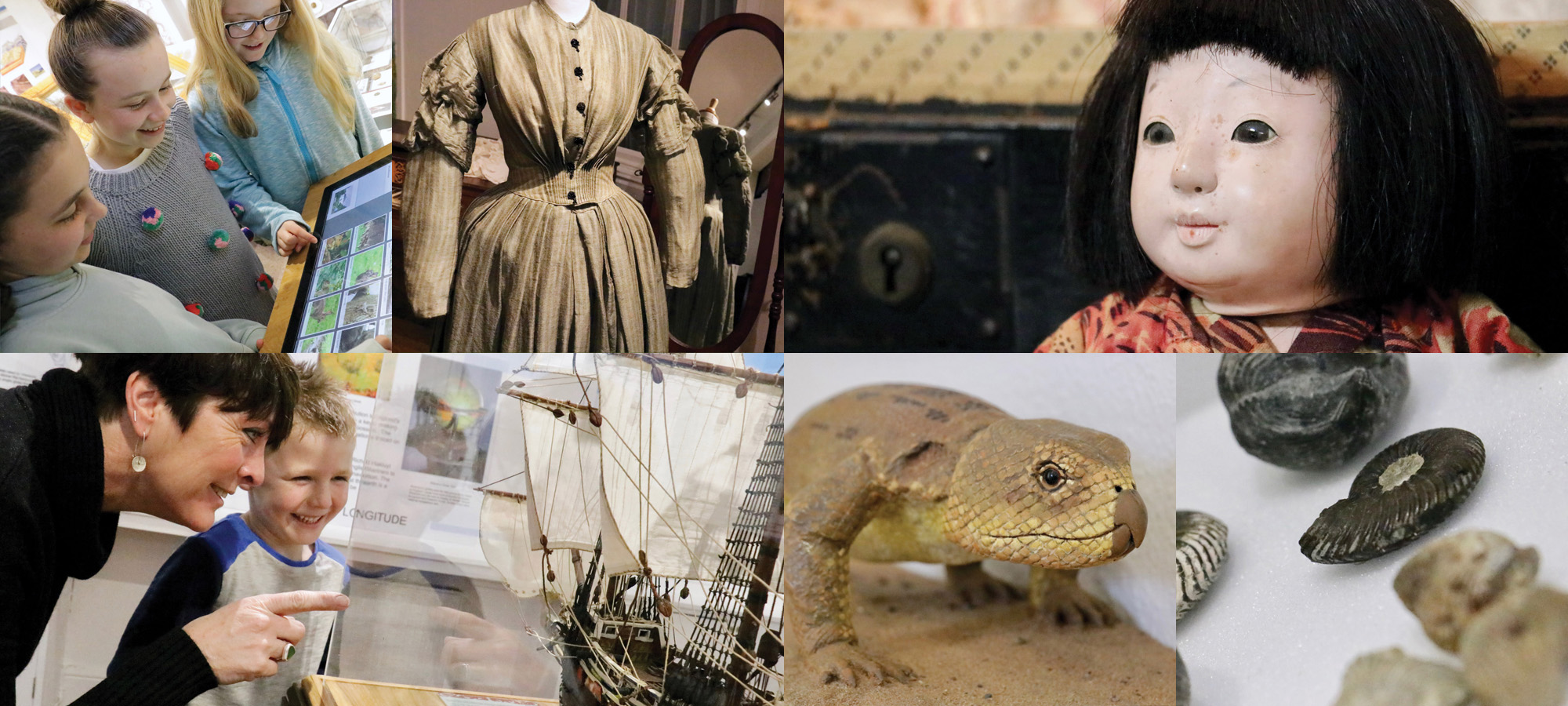 Fairlynch Musuem