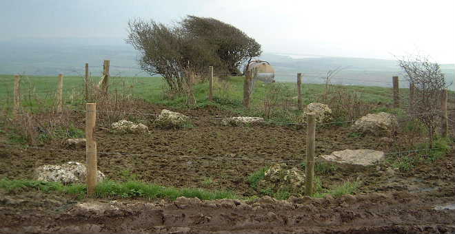 Hampton Down Stone Circle