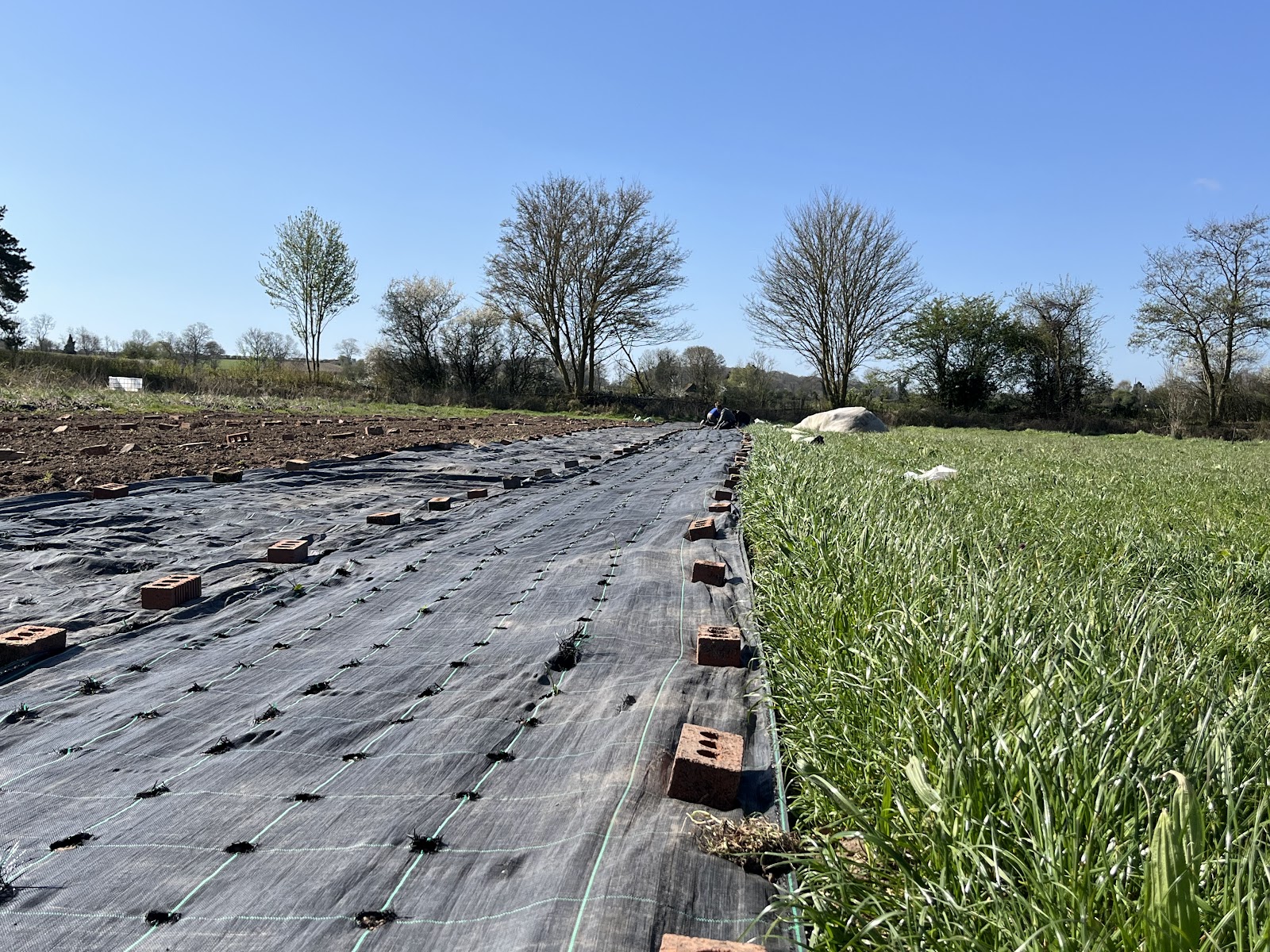 Five Acre Community Farm