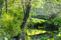 Goodland Gardens