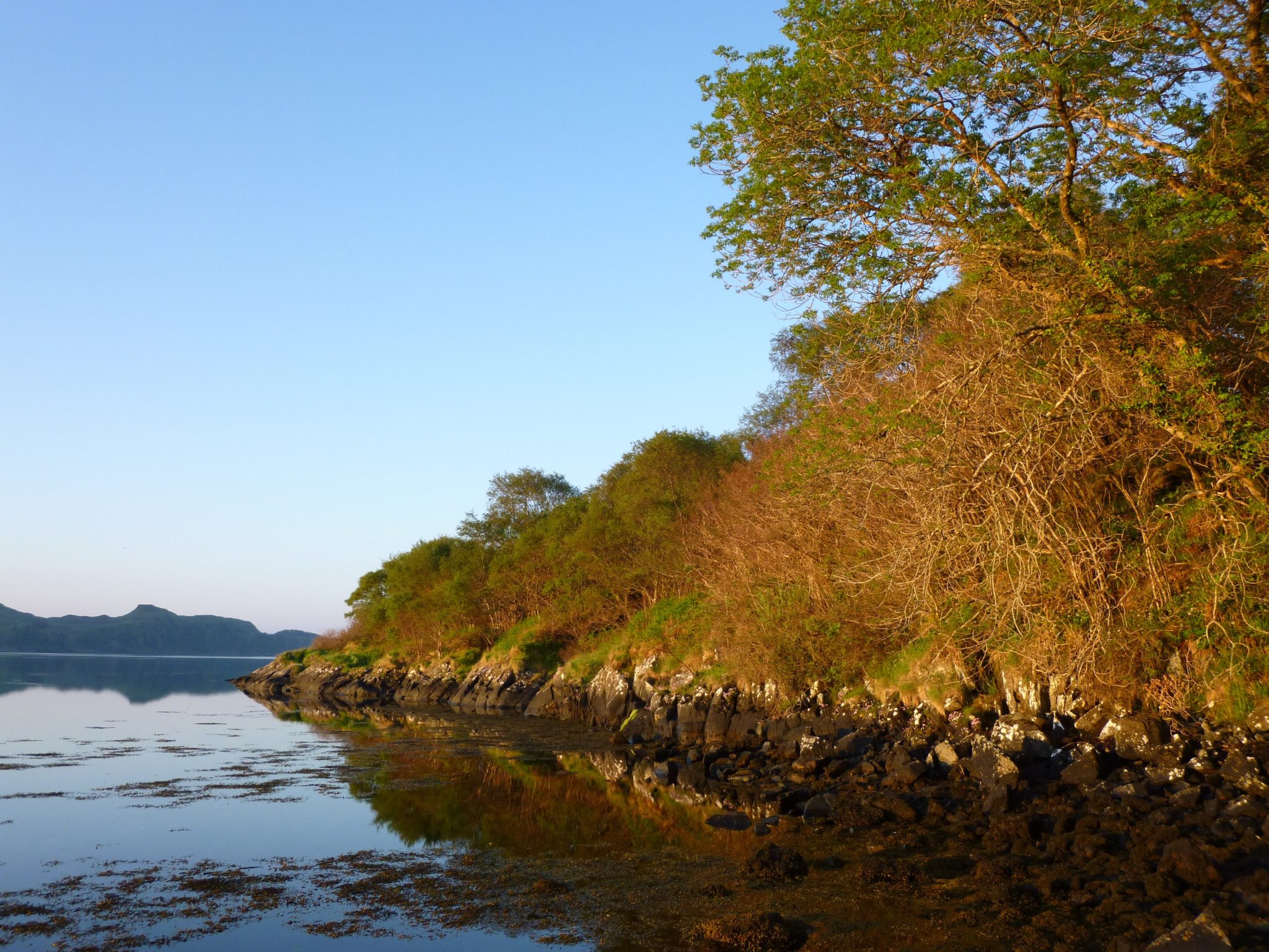 Ballachuan Hazelwood Wildlife Reserve