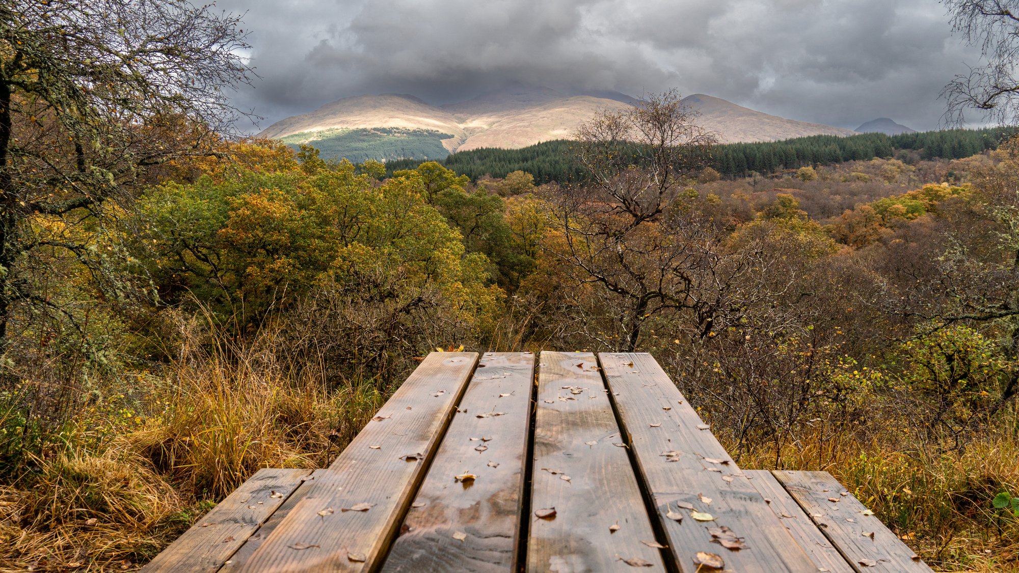 Glen Nant National Nature Reserve