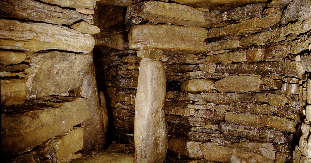 Grain Earth House