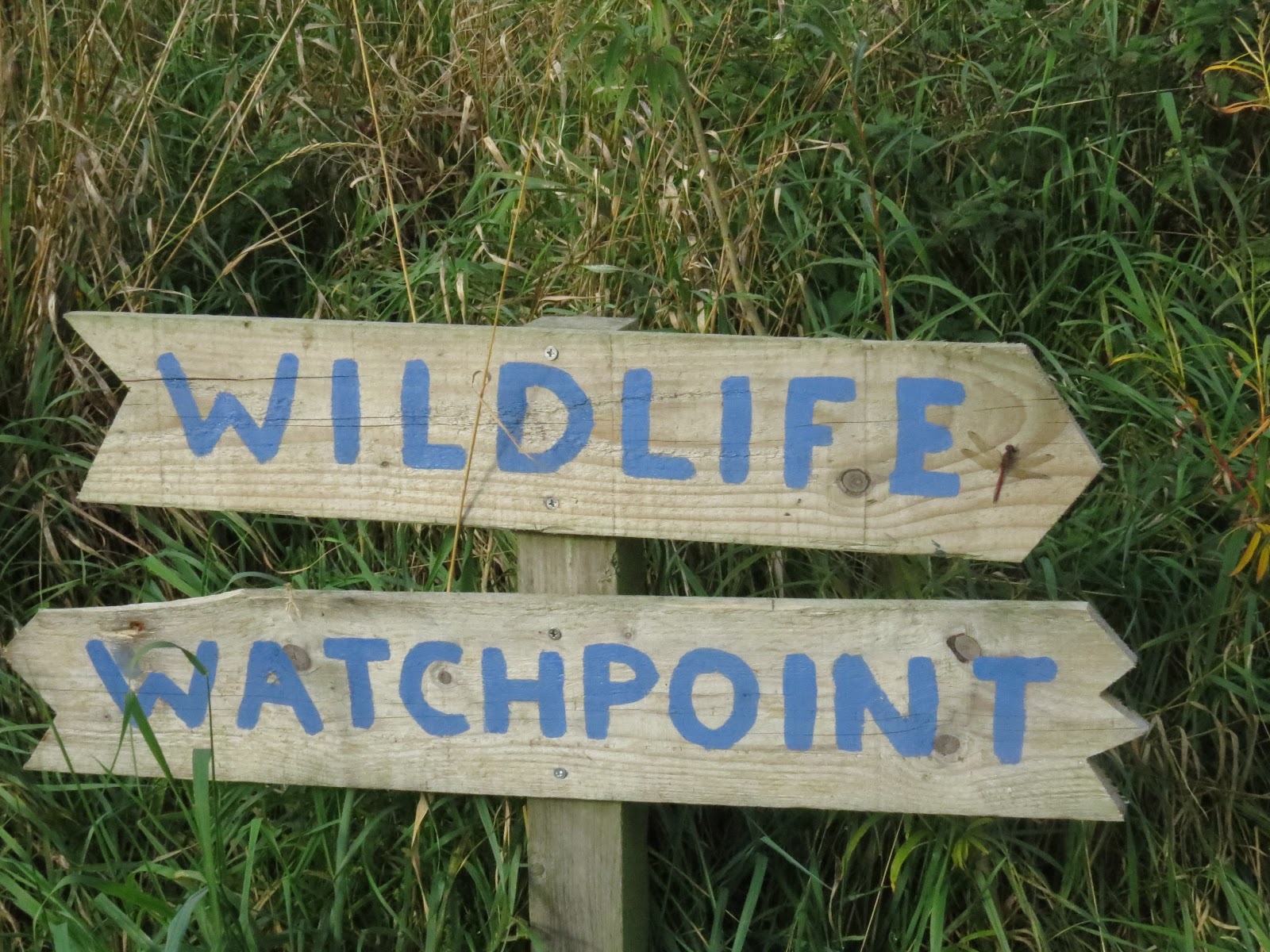 Wildlife Watchpoint