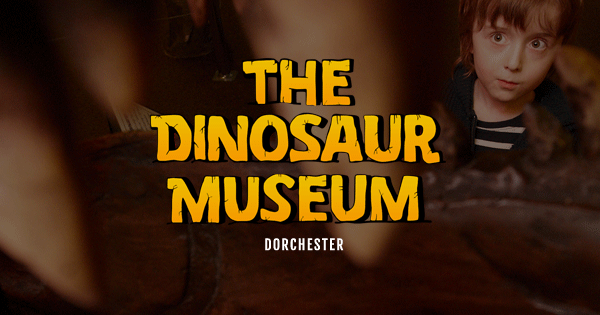 Dinosaur Museum