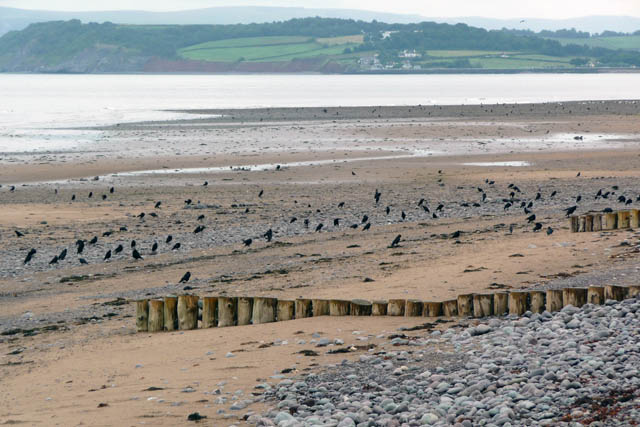 Dunster Beach