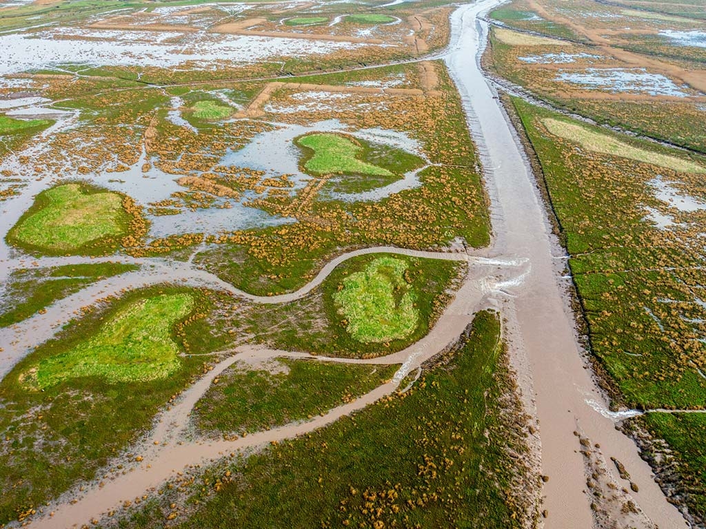 Steart Marshes