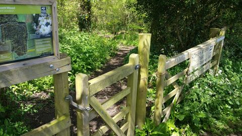DWT Uppacott Wood