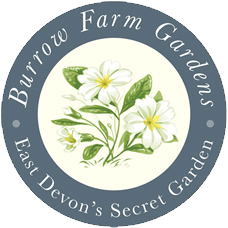 Burrow Farm Gardens