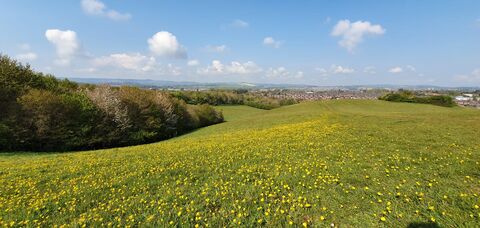 Ludwell Valley Park