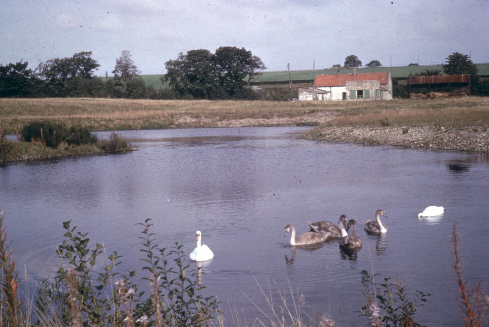 Low Barns Nature Reserve and Visitor Centre