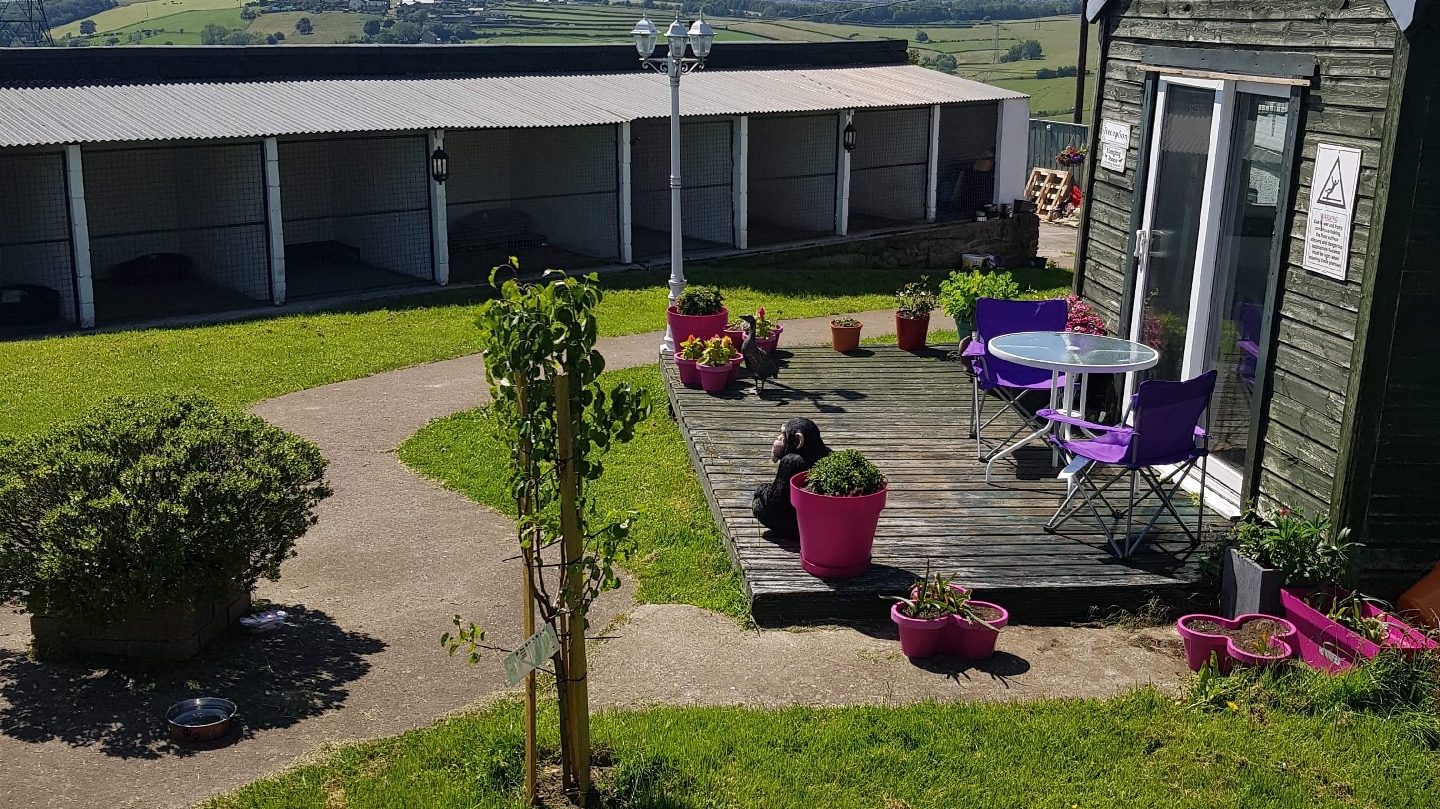 Tendercare Boarding Kennels and Cattery
