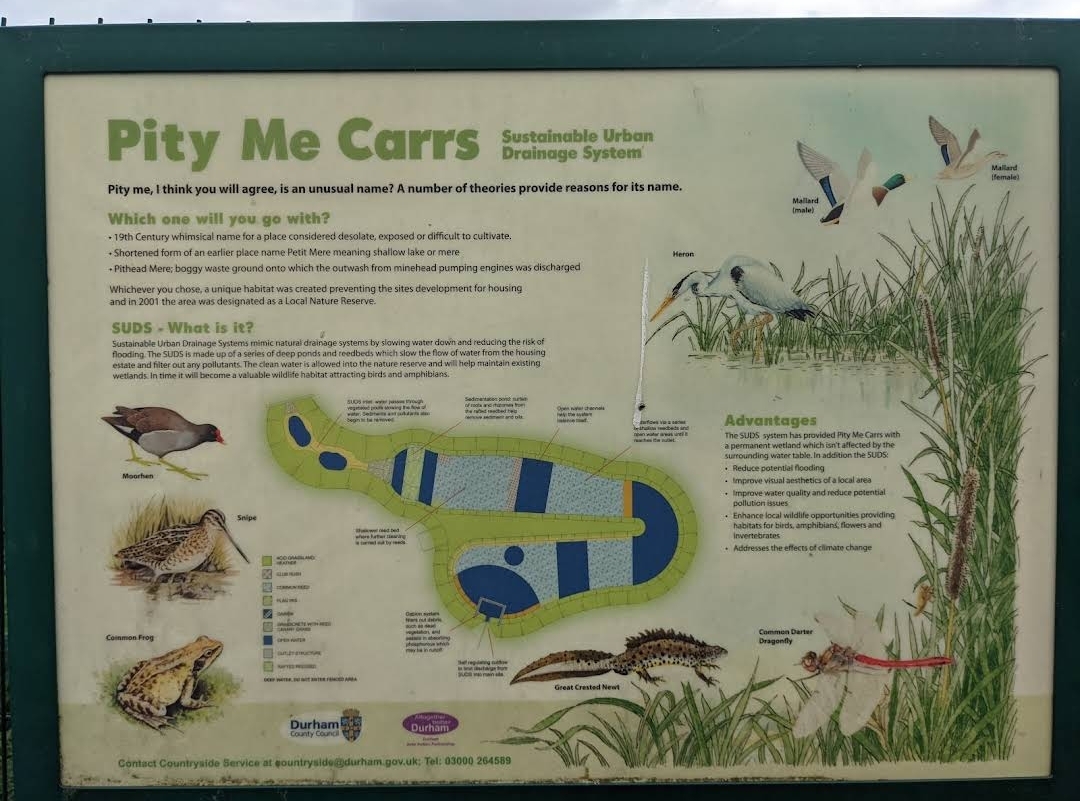 The PityMe Carrs Nature Reserve