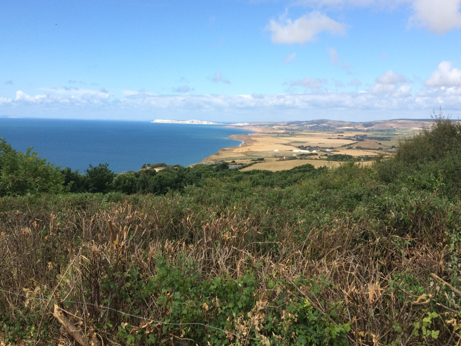 Blackgang Viewpoint