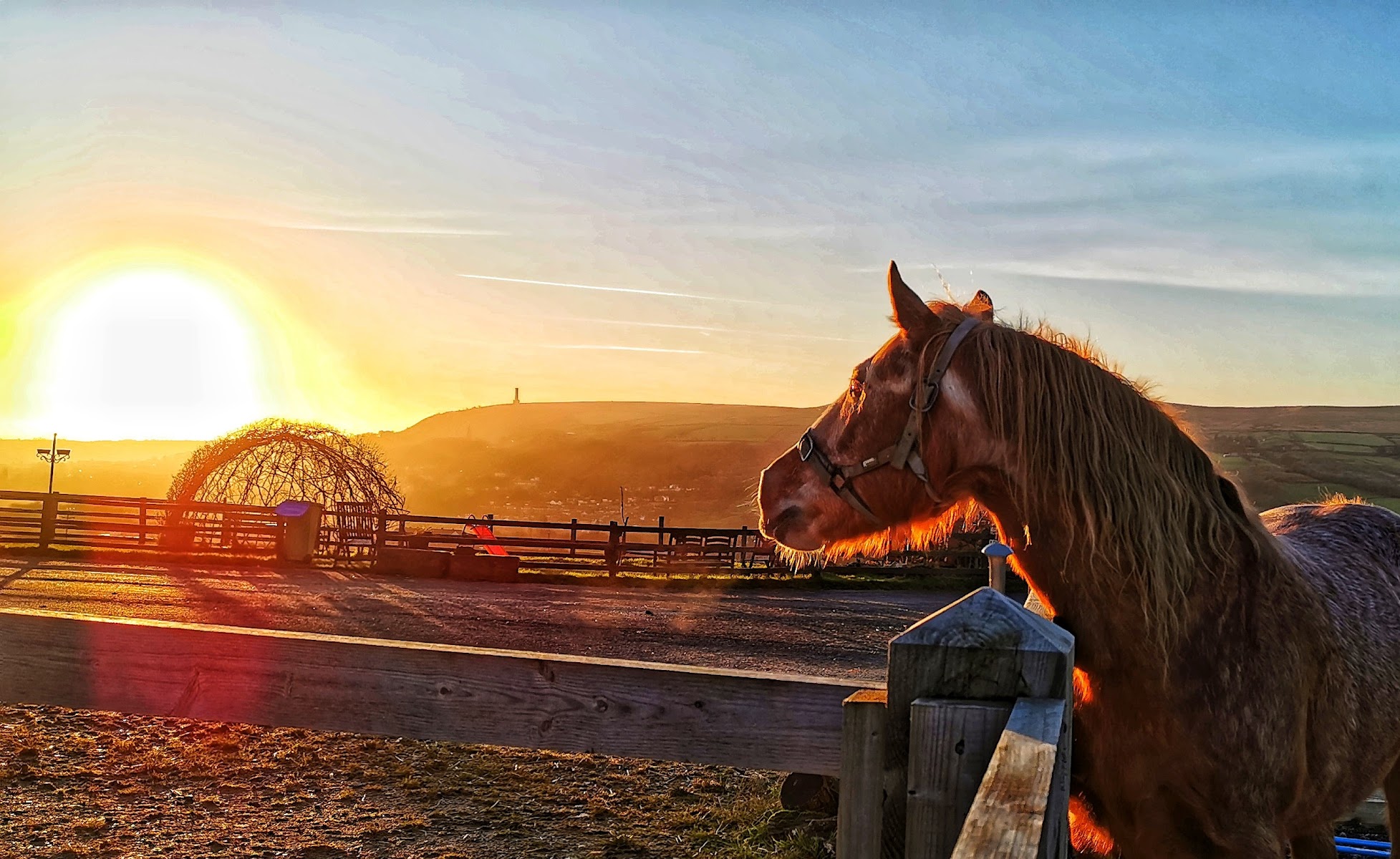 Bleakholt Animal Sanctuary