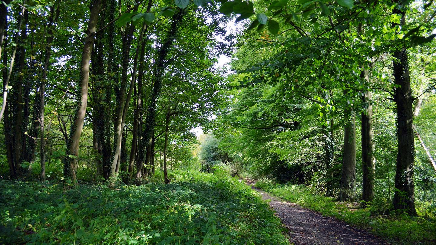 Home Farm (Woodland Trust)