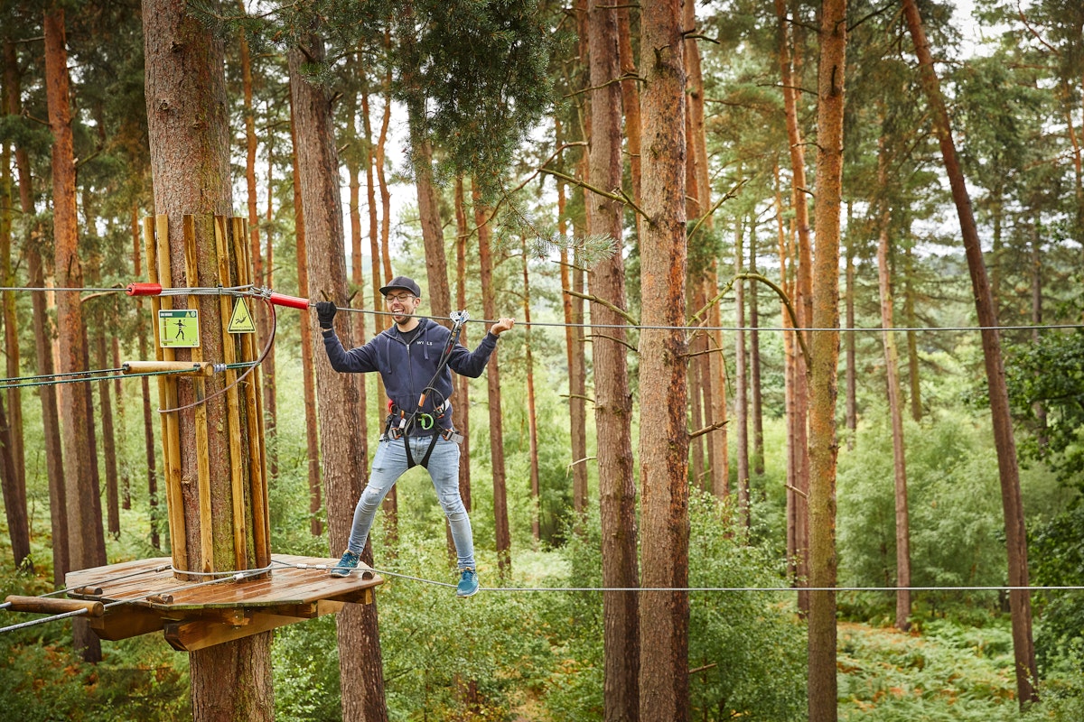 Go Ape Alice Holt