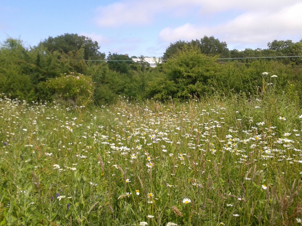 Pig Leg Lane Nature Reserve