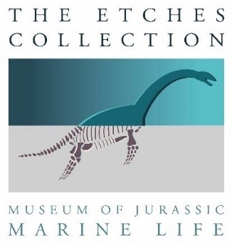 Museum of Jurassic Marine Life