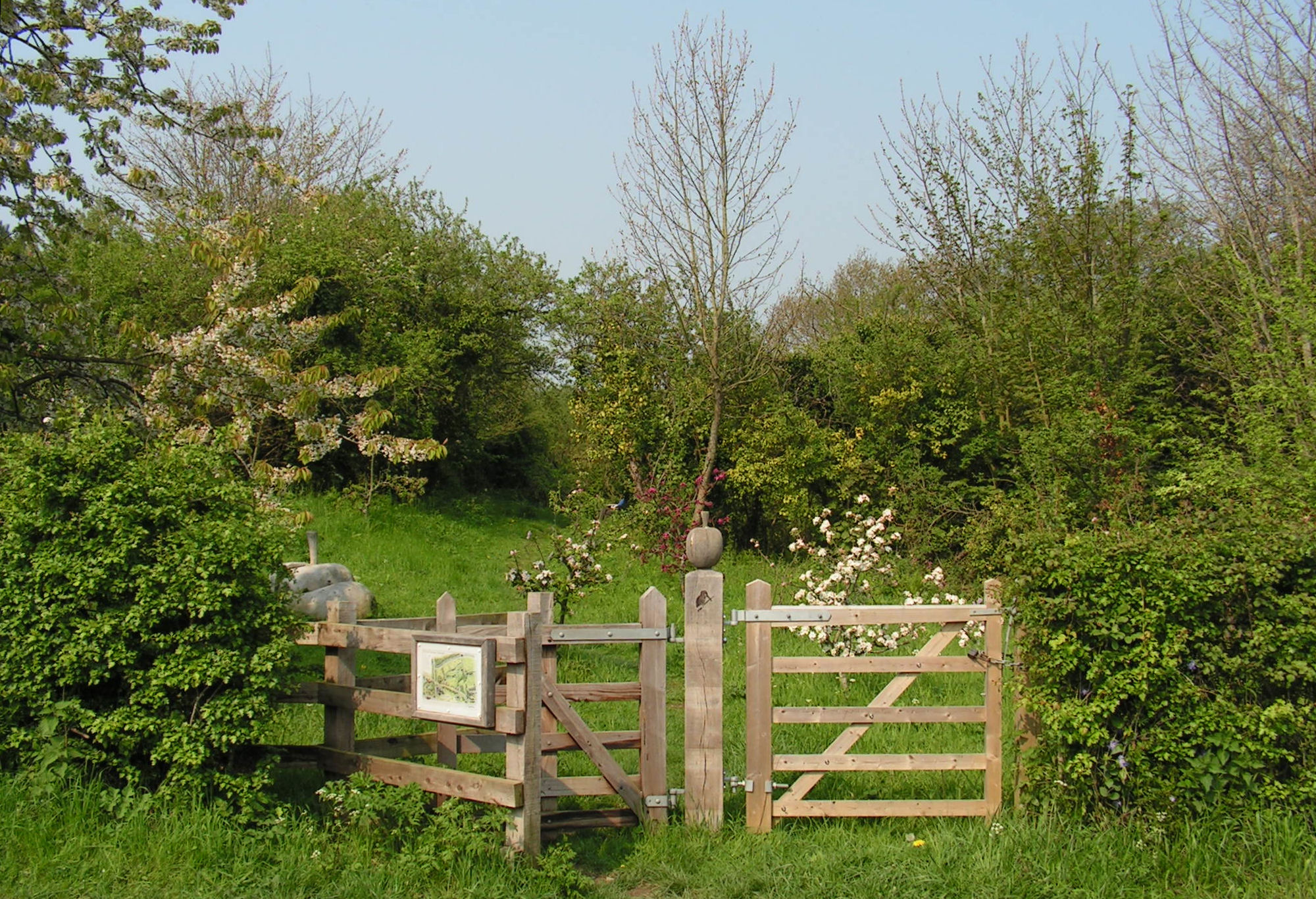 Community Orchard