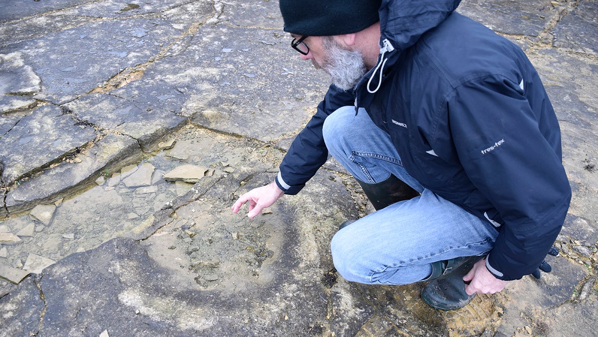 Spyway Dinosaur Footprints