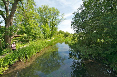 Winnall Moors