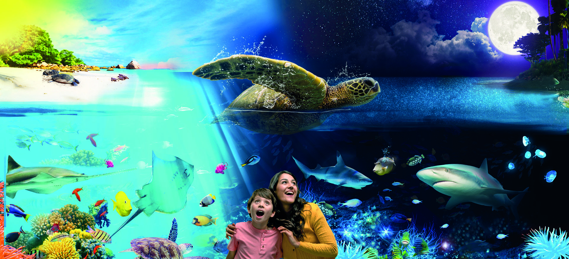 Sea Life Centre