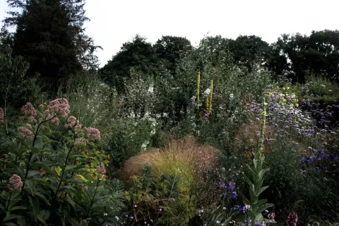 King John’s Lodge Nursery Garden