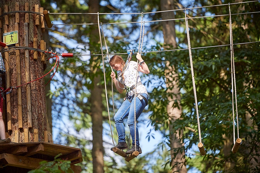 Go Ape