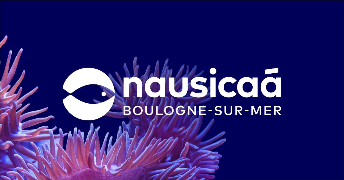 Nausicaá