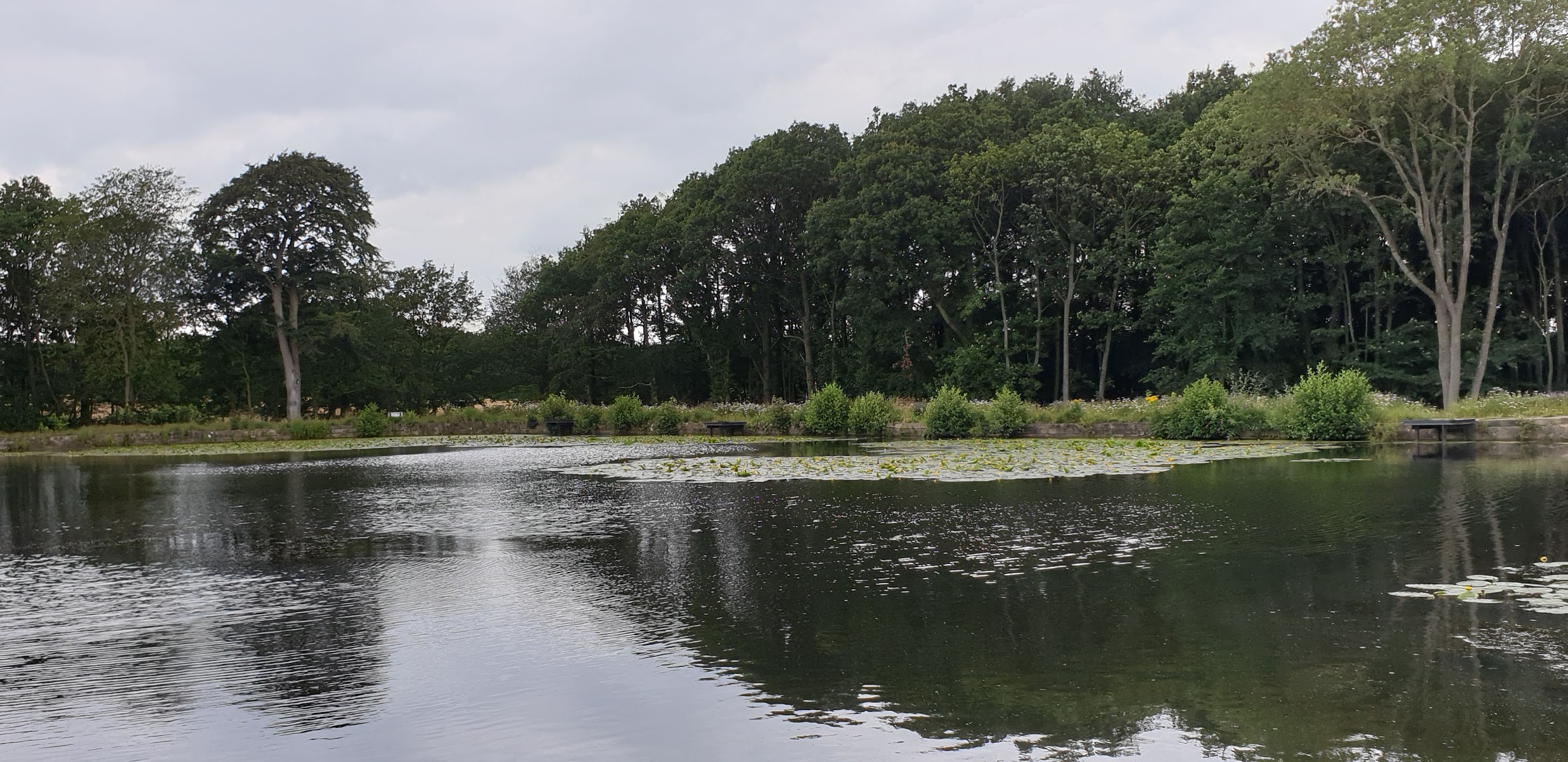Breary Marsh